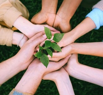 Picture of group nourishing a plant